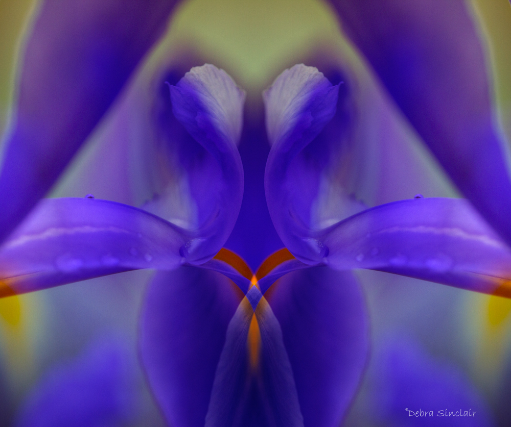 mirror montage of Iris, Iris Goddess